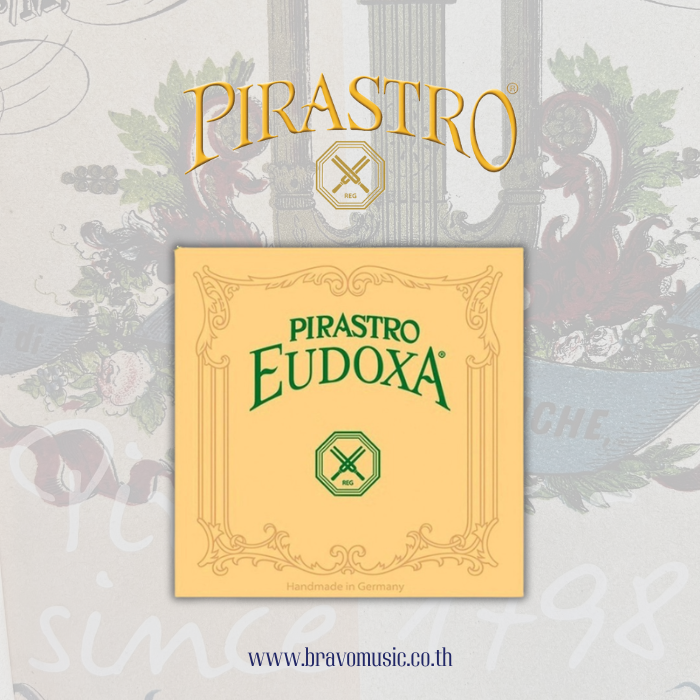 สายไวโอลิน Gut String Pirastro รุ่น Eudoxa (ชุด)