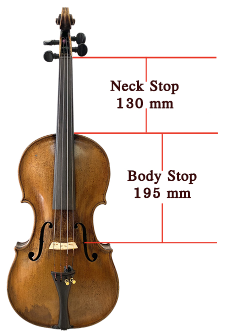 Body Stop & Neck Stop ของไวโอลิน รูป