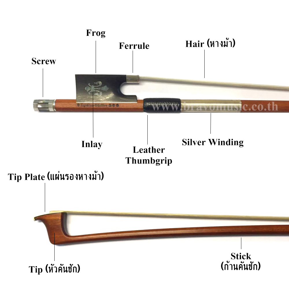 ส่วนประกอบของคันชักไวโอลิน รูป